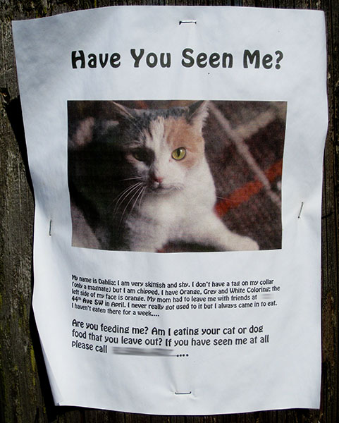 missing-cat1